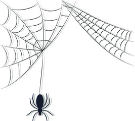Spider element hanging on cobweb for halloween s
