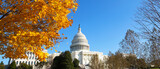 Fototapeta Big Ben - Capitol Building grounds on sunny day. Autumn colors of maple tree contrast with blue skies.