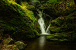 © kikumoto kenjiro - 兵庫県・氷ノ山霧中の渓谷