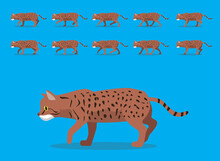 Animal Animation Sequence Dragon Li Cat Cartoon Vector