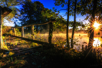 Wall Mural - Lake in sunrise or sunset in nature. Beautiful reflection in the water beautiful ingrown lake with trees and bushes