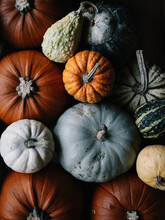 Seasonal Image Of Gourds And Pumpkins