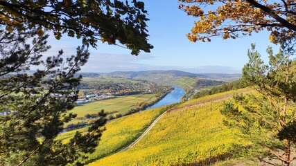 Canvas Print - Herbstliche Mosellandschaft zwischen Bernkastel-Kues und Traben-Trarbach