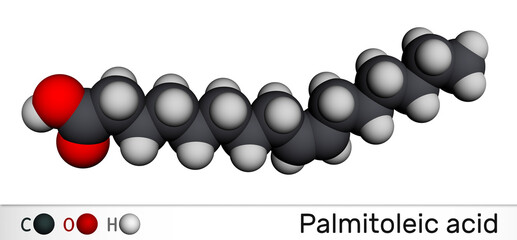 Wall Mural - Palmitoleic acid, palmitoleate molecule. It is an omega-7 monounsaturated fatty acid. Molecular model.