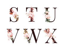 Watercolor Floral Alphabet Set Of S; T; U; V; W; X With Red And Brown Flowers And Leaves. Flowers Composition For Logo, Cards, Branding, Etc.