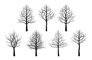 Sticker - A set of black naked Trees. Vector outline Illustration. Plant and Garden.