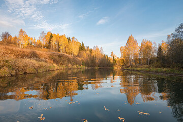 Wall Mural - autumn landscape, picturesque forest with a mirror symmetrical reflection in the river of yellow, go