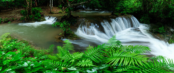 Aufkleber - Panoramic beautiful waterfall in deep forest at Thailand.
