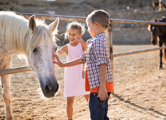 Wall Mural - Happy small children caring a horse with caress - Kids and animal love