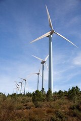 A wind turbine a device that converts the wind's kinetic energy into electrical energy