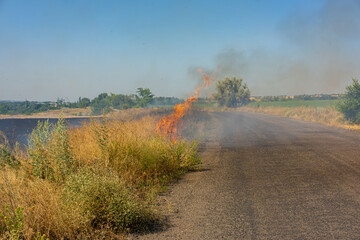 Wall Mural - Artificial set fire to the harvested wheat field. Farmers deliberately set fire to it. Air pollution.