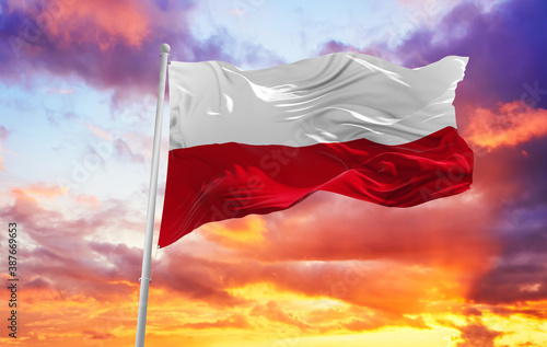 Dekoracja na wymiar  wielka-polska-flaga-powiewa-na-wietrze