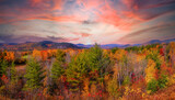 Fototapeta Sawanna - New England Fall with a beautiful sky