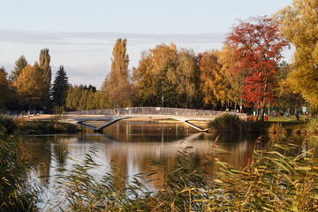 Wall Mural - Autumn in Lewityn Park - Pabianice - Poland