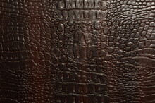 Crocodile Skin Dark Brown Leather Texture - Close-up Textured Background