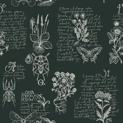 Seamless pattern with hand-drawn medicinal herbs, beetles, butterflies and handwritten text Lorem Ipsum. Vector repeatable background in retro style. Wallpaper, wrapping paper, textile