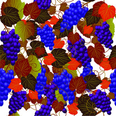 Canvas Print - Grapes seamless pattern