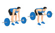 the athlete performs the bent-over barbell rows from floor exercise with barbell in a minimalistic style, gym character set