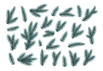 Wall Mural - Pine fir branches. Spruce branches realistic. Christmas tree Set isolated on white background. Decorative design elements. Decoration Natural objects. Xmas decor. Vector illustration