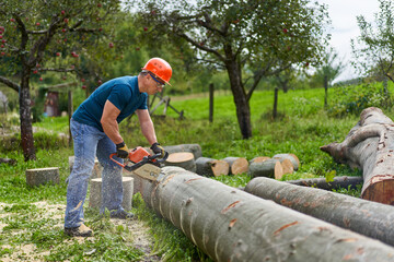 Wall Mural - Lumberjack sawing beech logs