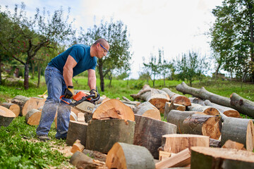 Wall Mural - Lumberjack sawing beech logs