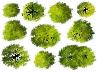Wall Mural - collection of abstract watercolor green tree top view isolated on white background for landscape pla