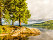 Landzunge am See Bäume Steg Schweden