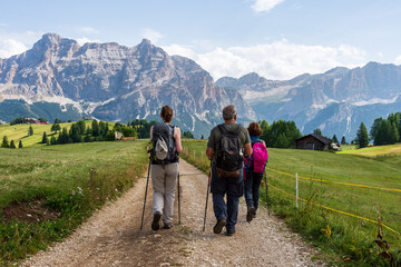 Wall Mural - Group of hikers with trekking poles and backpacks hiking on a trail through green meadows in the Italian Alps. Dolomite peaks are visible in the background. Val Badia, South Tyrol - Italy