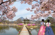Gyeongbokgung Palace  Hyangwonjeong Pavilion, with Korean national dress and.cherry blossom in spring,Seoul,South Korea.