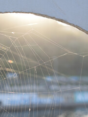 Web in sunset rays with green hill at background