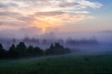 Fototapeta Na ścianę - Thick mystical fog over a green forest. Juicy grass.