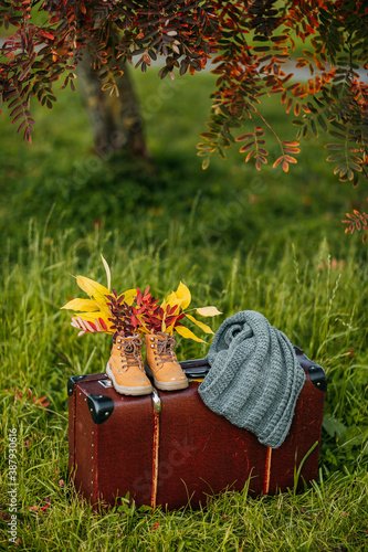 Old brown boots with leaves inside. Boots and brown vintage suitcase in autumn forest. Shoes with foliage, knitted throw and leather suitcase. Autumn coziness, yellow and red foliage.