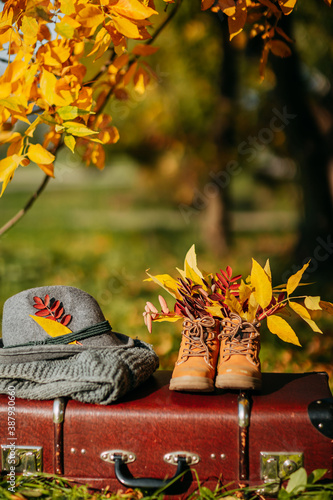 Autumn coziness, yellow and red foliage. Old boots, felt hat, knitted throw on the brown vintage suitcase in autumn forest. Shoes with foliage inside.