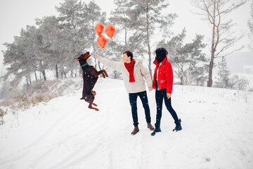 Wall Mural - Young couple in a winter park. Man with a red sharf. Lady in a red jacket