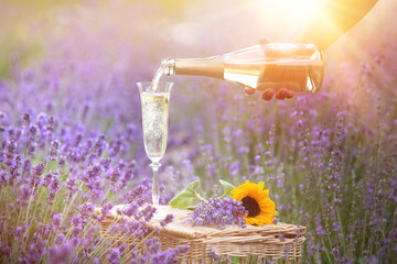 Champagne is poured into glasses in a sunset lavender field.