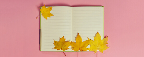 bright autumn maple leaves with blank notebook on pink paper background. seasonal fall composition, 