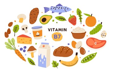 Wall Mural - Collection of vitamin B7 source. Food containing biotin. Fish and meat, dairy products, fruits and vegetables. Dietetic organic nutrition. Flat vector cartoon illustration isolated on white background