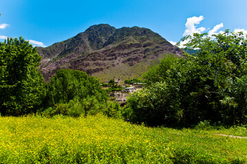 Wall Mural - landscapes of chitral valley Khyber Pakhtunkhwa , Pakistan 