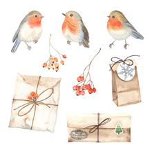 Watercolor Set Of Robin Birds, Gift Boxes And Branches With Berries Rowan. Christmas Collection Of Holiday Symbols For Your Design In Vintage Style. Isolated Illustration On White Background.
