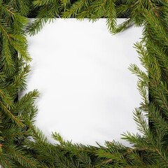 Sticker - Fir tree branch frame on white