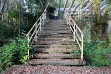 Dilapidated Old Outdoor Concrete Stairs With Rusted Handrail Covered With Fallen Leaves Surrounded With Dense Trees And Overgrown Vegetation On Warm Sunny Winter Day