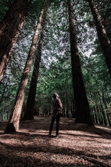 Landscape photographer in a sequoia forest in autum