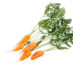 Wall Mural - Carrot vegetable with leaves isolated on white background cutout