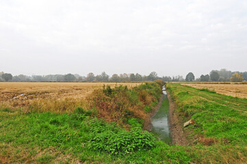 Risaie e colori d'autunno a sud di Milano - Basiglio