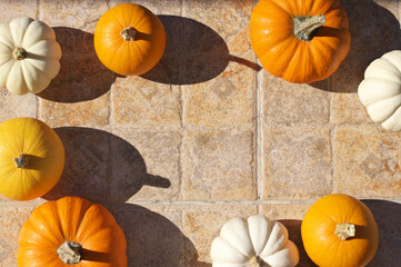 Wall Mural - Multicolored mini pumpkinsl on old tile in sunlight