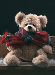 Cute teddy bear with colorful scarf sitting on blue wooden backg