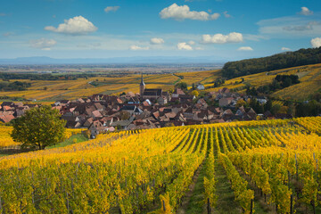 Wall Mural - Weinberge oberhalb von Blienschwiller im Elsass im Herbst