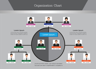 Organization Chart Infographics with People Icon and Abstract Line, Business Structure, Hierarchy of employees, org  Vector Illustration.