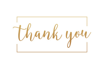 Wall Mural - Thank You Card. Gold Text Handwritten Calligraphy Lettering with Square Line Frame Outside isolated On White Background. Flat Vector Illustration Design Template Element.