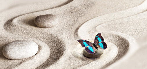 zen garden meditation stone background and butterfly with stones and lines in sand for relaxation balance and harmony